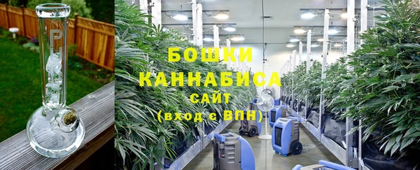 прущие грибы Верхнеуральск
