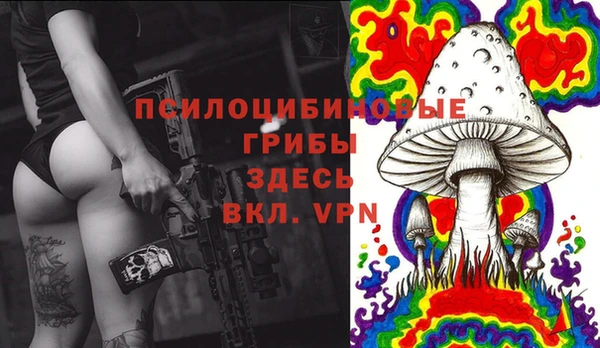 трава Верея