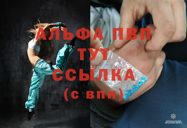 индика Бронницы