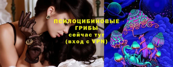 трава Верея