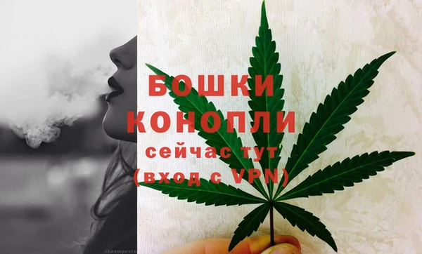 прущие грибы Верхнеуральск